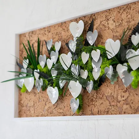 Agreable Proche Colmar Andolsheim